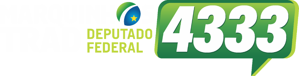 Girassol Inteligência